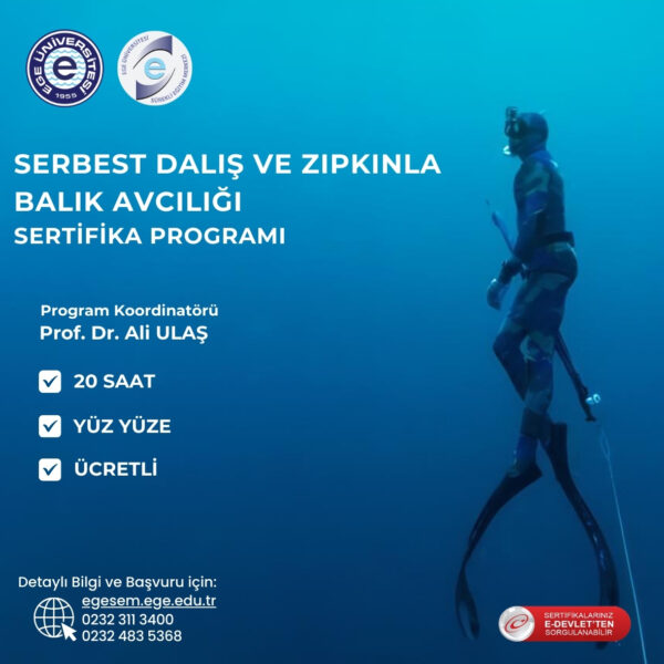 Serbest Dalış ve Zıpkınla Balık Avcılığı Eğitimi Sertifika Programı